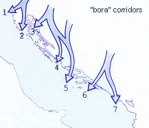 Directions of bura (bora) blowing (this illustration is provided by www.aci-club.hr) 